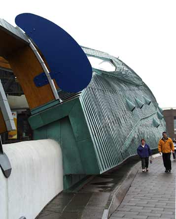 Clever roof cladding and skylights curved in three dimensions