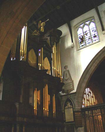 The organ