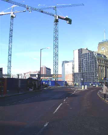 Cranes at the Co-op